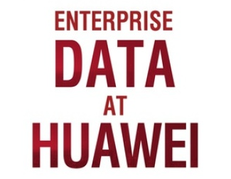 华为中国政企专业服务部数据治理